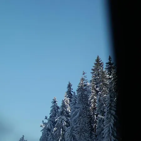 Nivalis Residence Jahorina Exterior photo